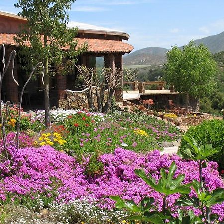 Quinta Maria En La Ruta Del Vino Bed and Breakfast Valle de Guadalupe Εξωτερικό φωτογραφία