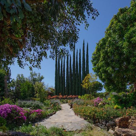 Quinta Maria En La Ruta Del Vino Bed and Breakfast Valle de Guadalupe Εξωτερικό φωτογραφία