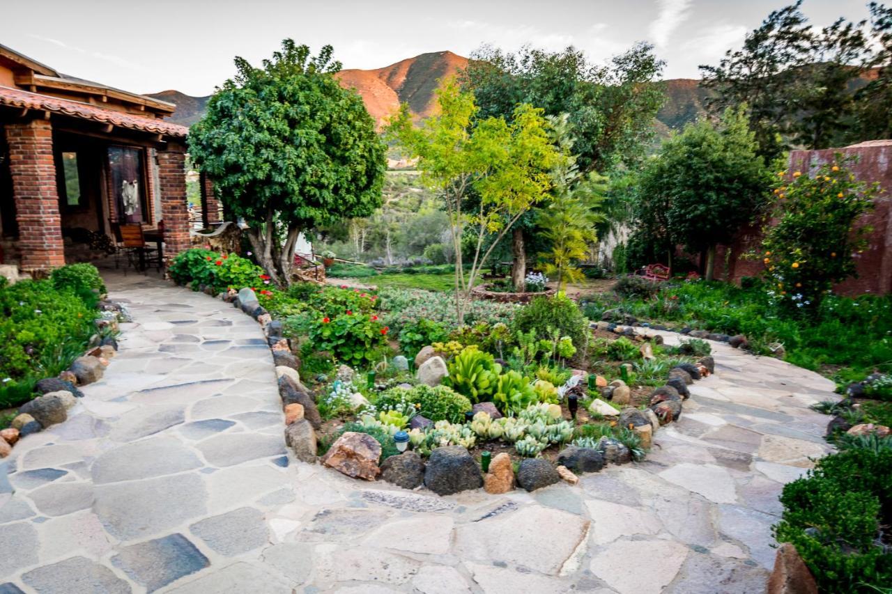 Quinta Maria En La Ruta Del Vino Bed and Breakfast Valle de Guadalupe Εξωτερικό φωτογραφία
