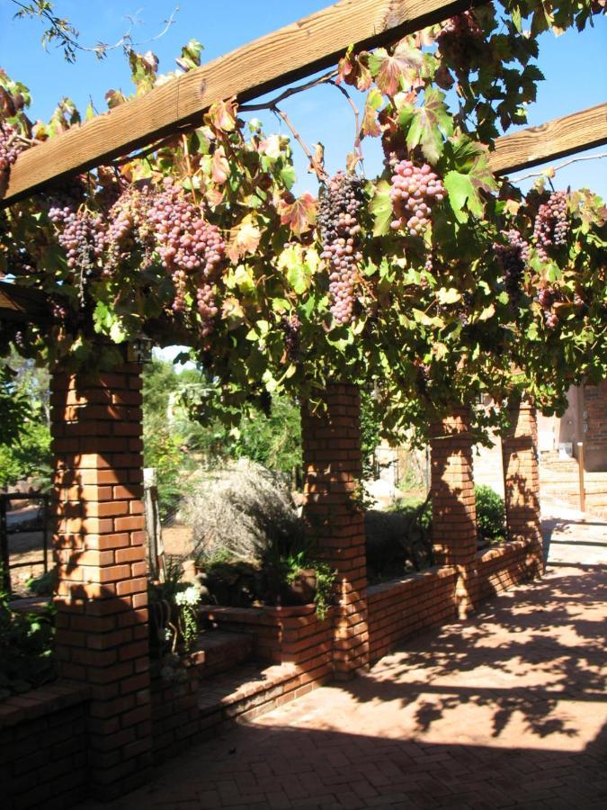 Quinta Maria En La Ruta Del Vino Bed and Breakfast Valle de Guadalupe Εξωτερικό φωτογραφία