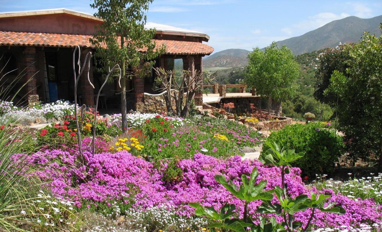 Quinta Maria En La Ruta Del Vino Bed and Breakfast Valle de Guadalupe Εξωτερικό φωτογραφία