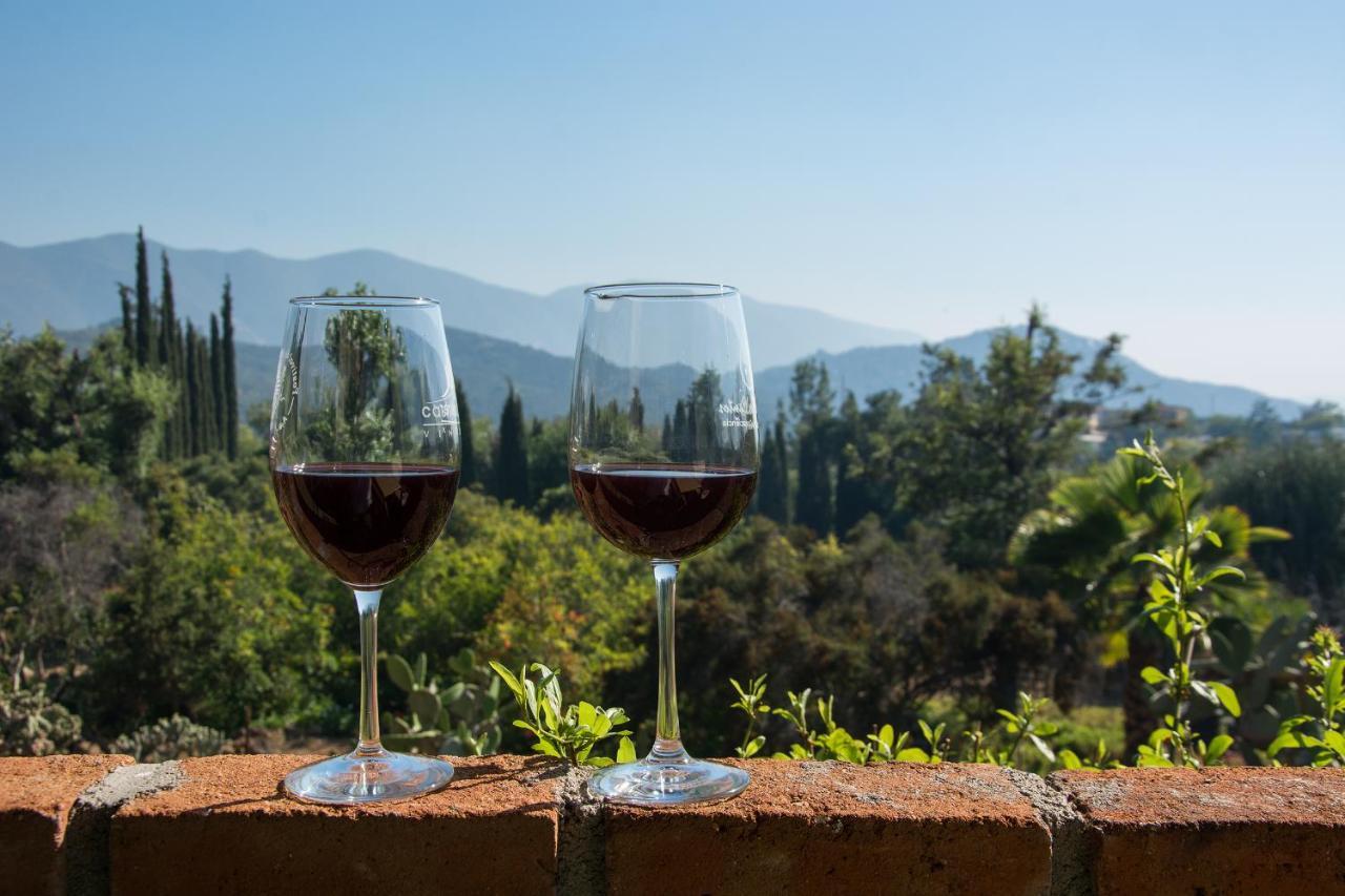 Quinta Maria En La Ruta Del Vino Bed and Breakfast Valle de Guadalupe Εξωτερικό φωτογραφία