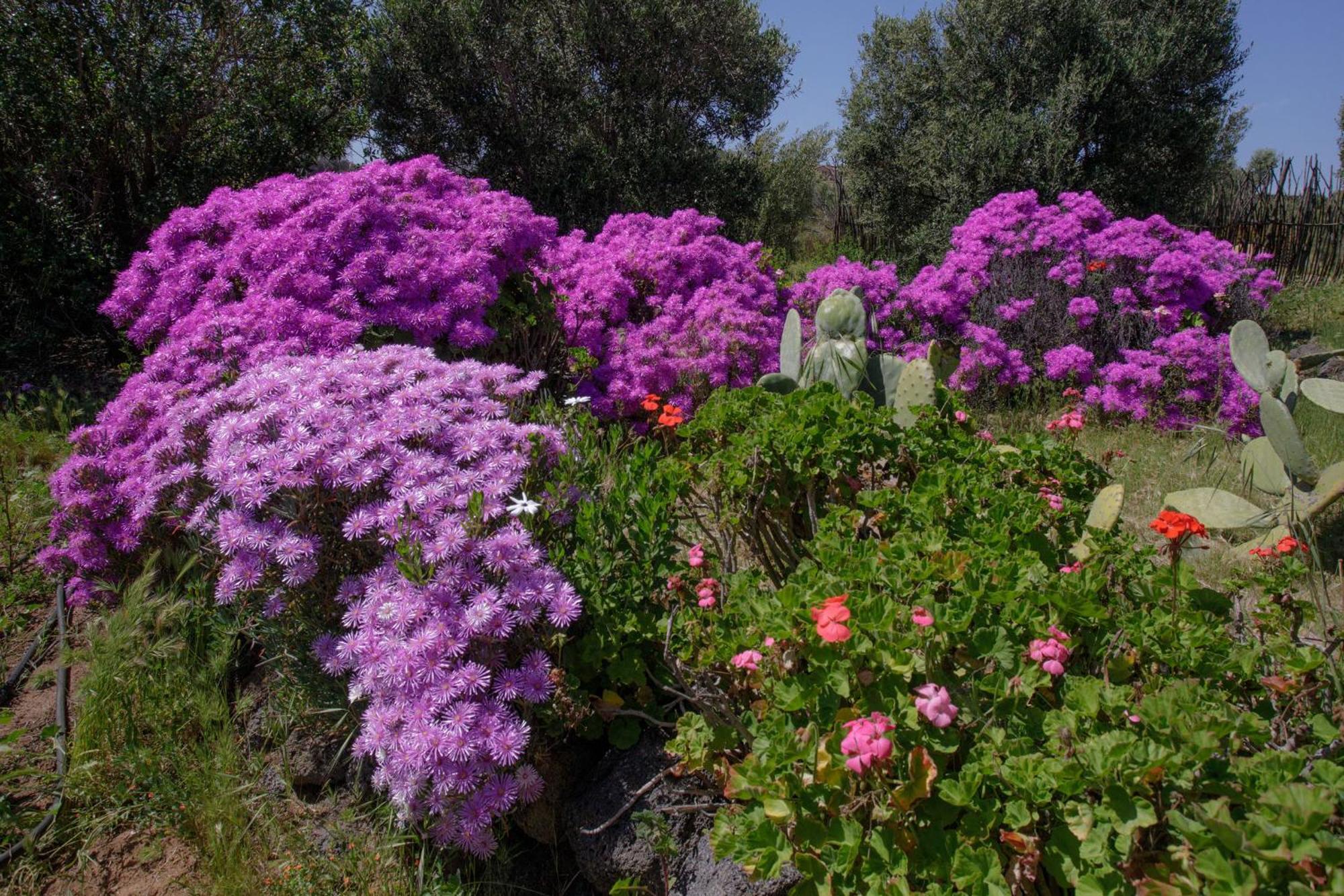 Quinta Maria En La Ruta Del Vino Bed and Breakfast Valle de Guadalupe Εξωτερικό φωτογραφία