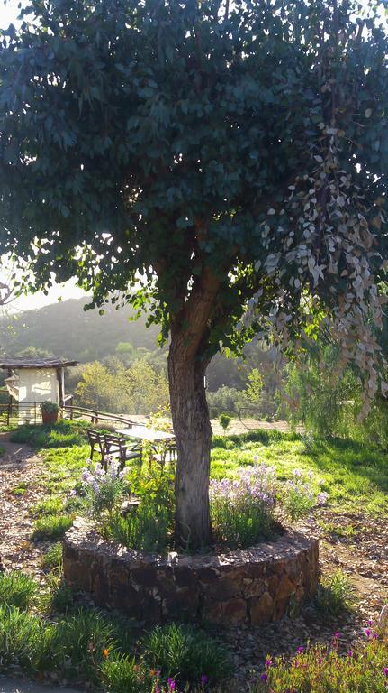 Quinta Maria En La Ruta Del Vino Bed and Breakfast Valle de Guadalupe Εξωτερικό φωτογραφία