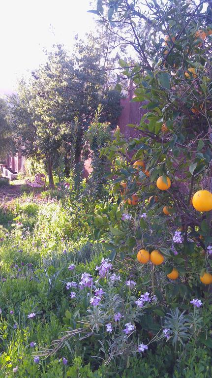 Quinta Maria En La Ruta Del Vino Bed and Breakfast Valle de Guadalupe Εξωτερικό φωτογραφία